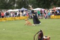 /album/fotogaleria/a182126-4408531382034-1860149832-n-jpg/