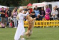 /album/fotogaleria/a420118-4408531982049-1265526405-n-jpg/
